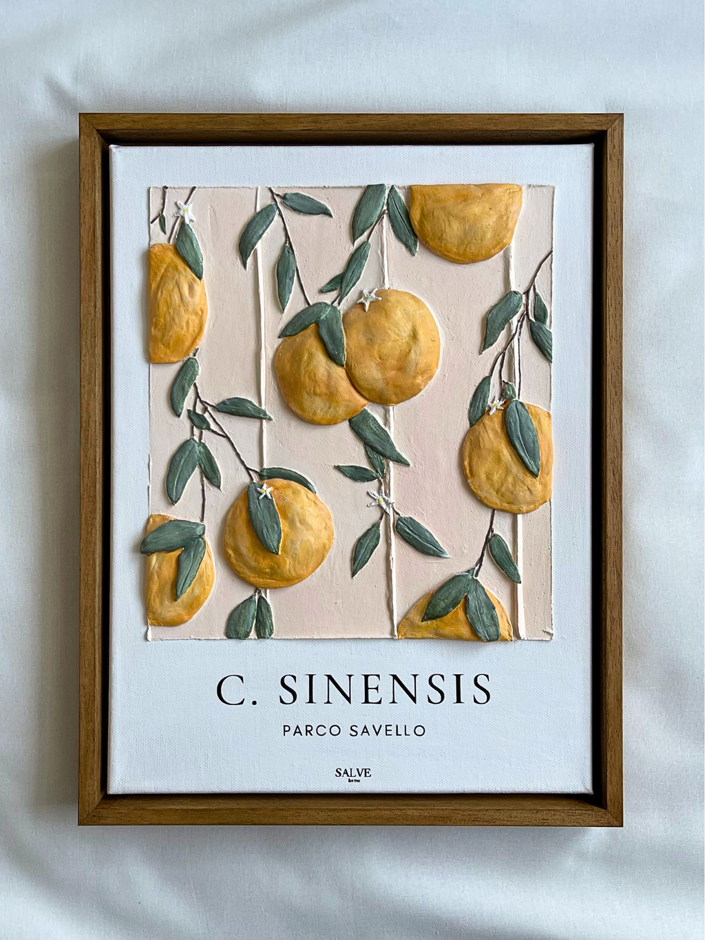 Citrus Sinensis