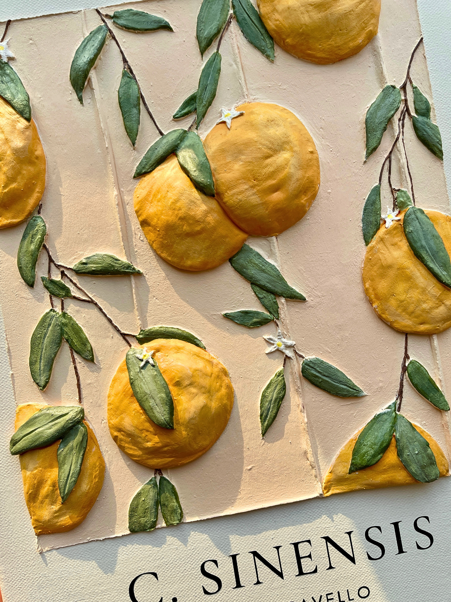 Citrus Sinensis