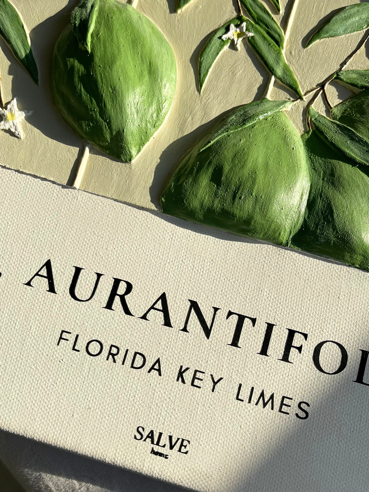 Citrus Aurantifolia