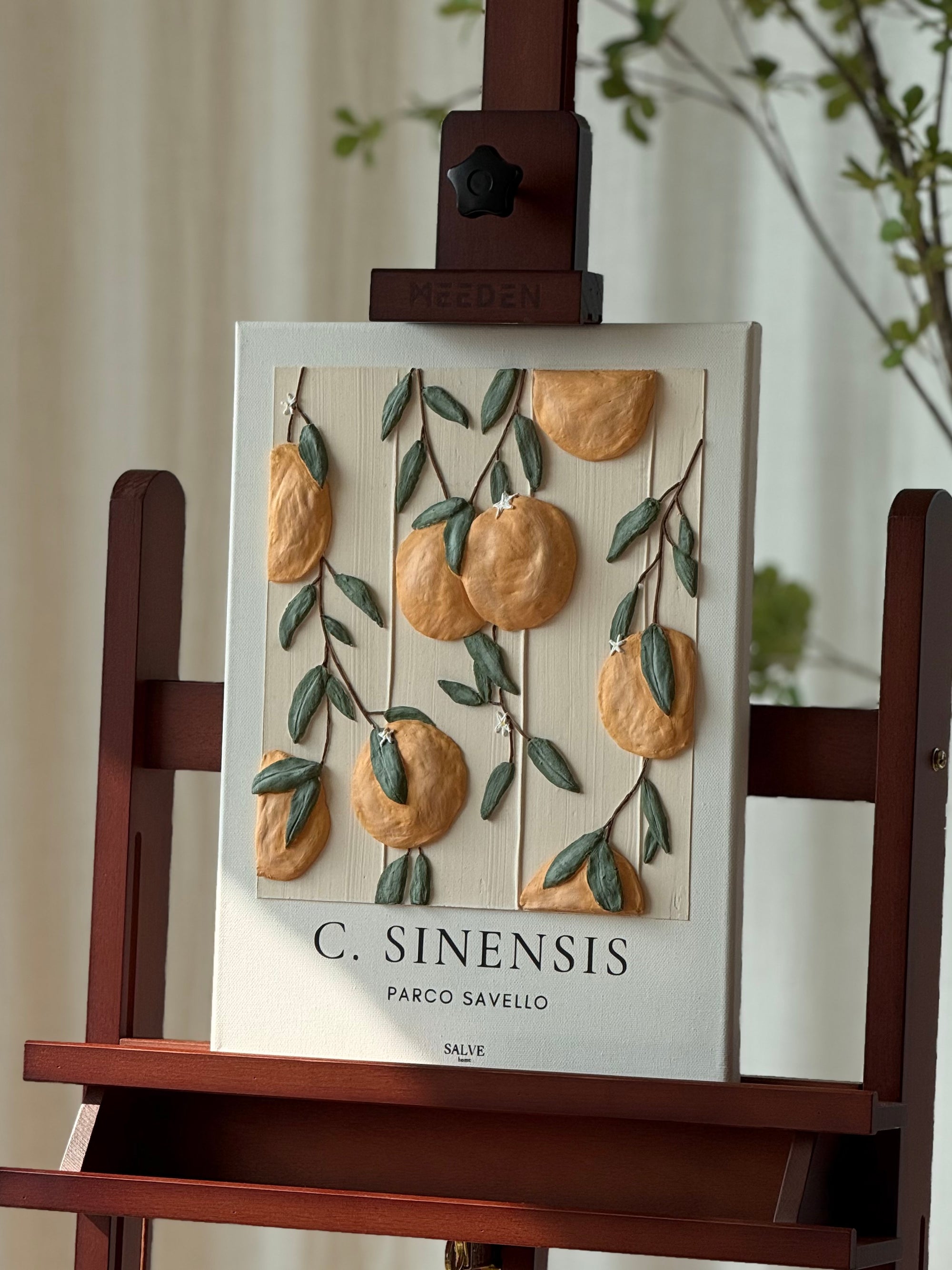 Citrus Sinensis