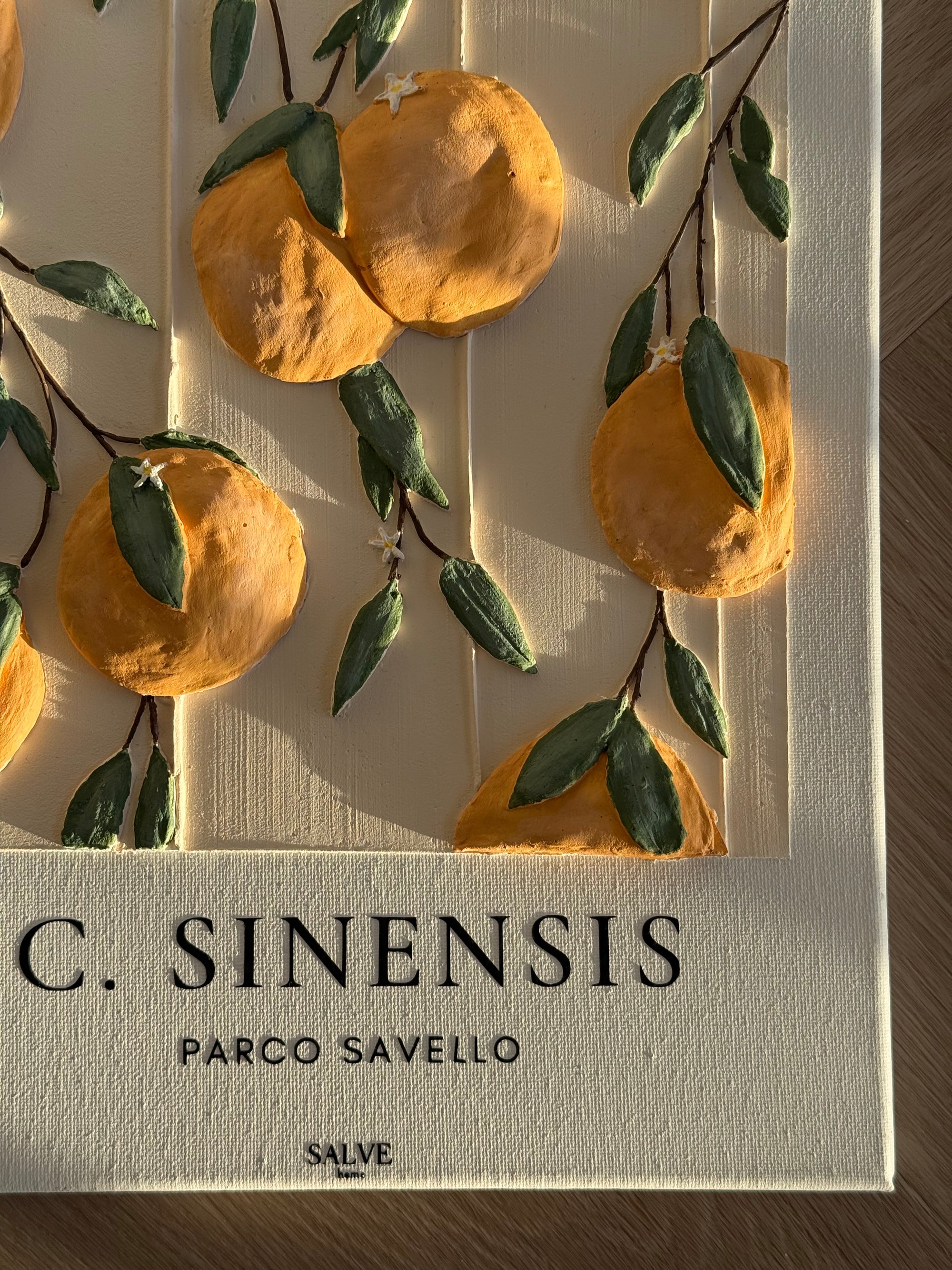 Citrus Sinensis