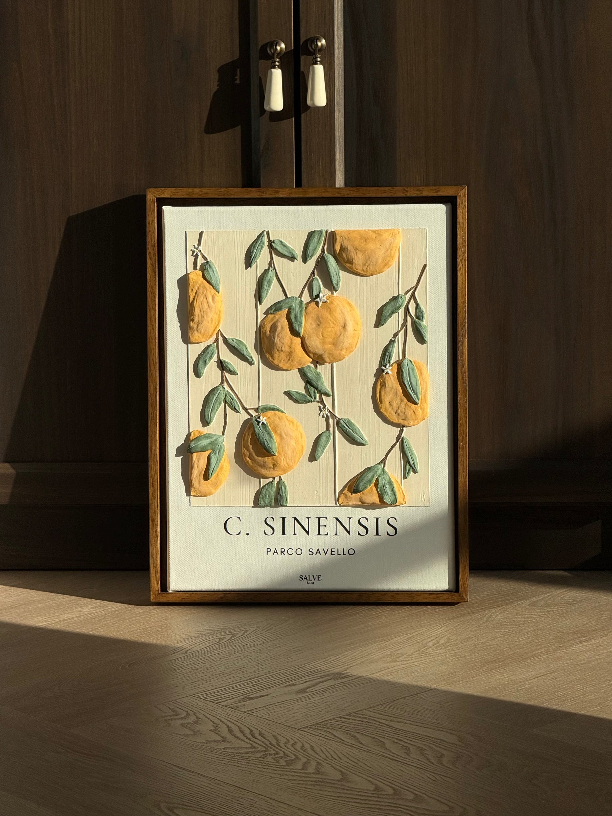 Citrus Sinensis